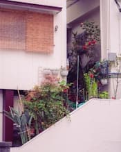Urban Green Infrastructure: Heat and Air Quality