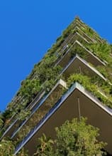 Evaluating Sustainable Green Roof Options with MCDM Tools