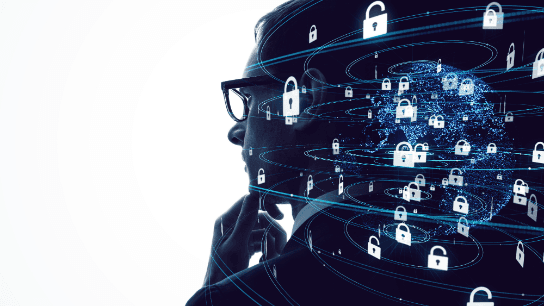 Cyber Risk Management: Frameworks and Concepts